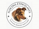 Des Flocons Étincelants