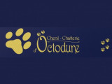 Chenil Chatterie D'Octodure