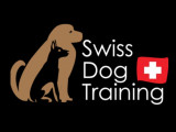 Swiss Dog Training
