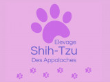 Shih-Tzu des Appalaches