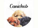 Canichus