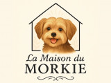La Maison du Morkie