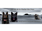Les As de la Chaîne des Puys