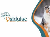 Osidulac