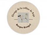 De la Colline de Raja