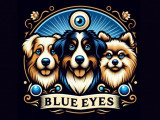 Blue Eyes