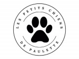 Les Petits Chiens de Paulette