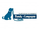 Bandy et Compagnie