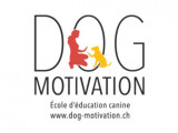 Dog Motivation