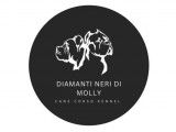 Diamanti Neri di Molly