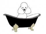 Sarah's Bark and Bath