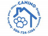 Canino
