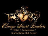 Heart Breakers