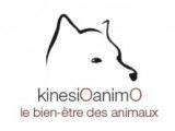 KinesiOanimO