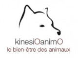 KinesiOanimO