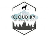 Kloud 9