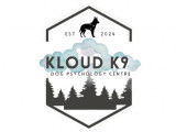 Kloud 9