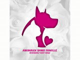 Animaux Sans Famille