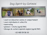 Cockers Spirit by Catimini