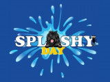 Splashy Day