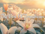 The Best of Farmdream