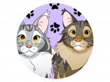 Patte et Pixel