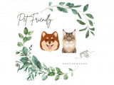Pet Friendly Photography