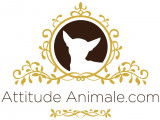 Attitude Animale