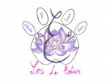 Les 4 lotus