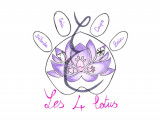 Les 4 lotus