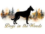 Dogs in the Woods