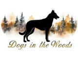 Dogs in the Woods