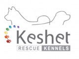 Keshet Kennels