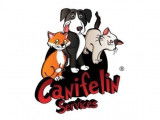 Canifélin Services