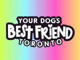 Your Dog’s Best Friend