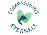 Eternal Companions
