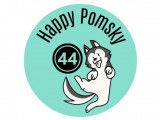 Happy Pomsky 44