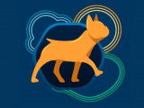Dogy Walker