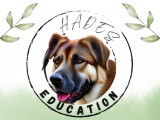 Hadès Education