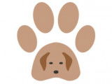 Ton Chien et Toi