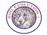 Dog évolution +