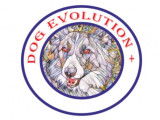 Dog évolution +