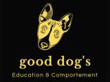 Good dog's