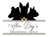 Alex dog's