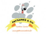 Pattounes & cie