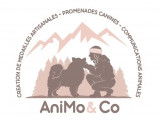 AniMo & Co