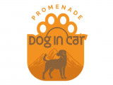 Dog in Car