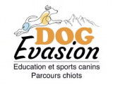 Dog Evasion