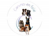 Canines en folie