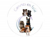 Canines en folie